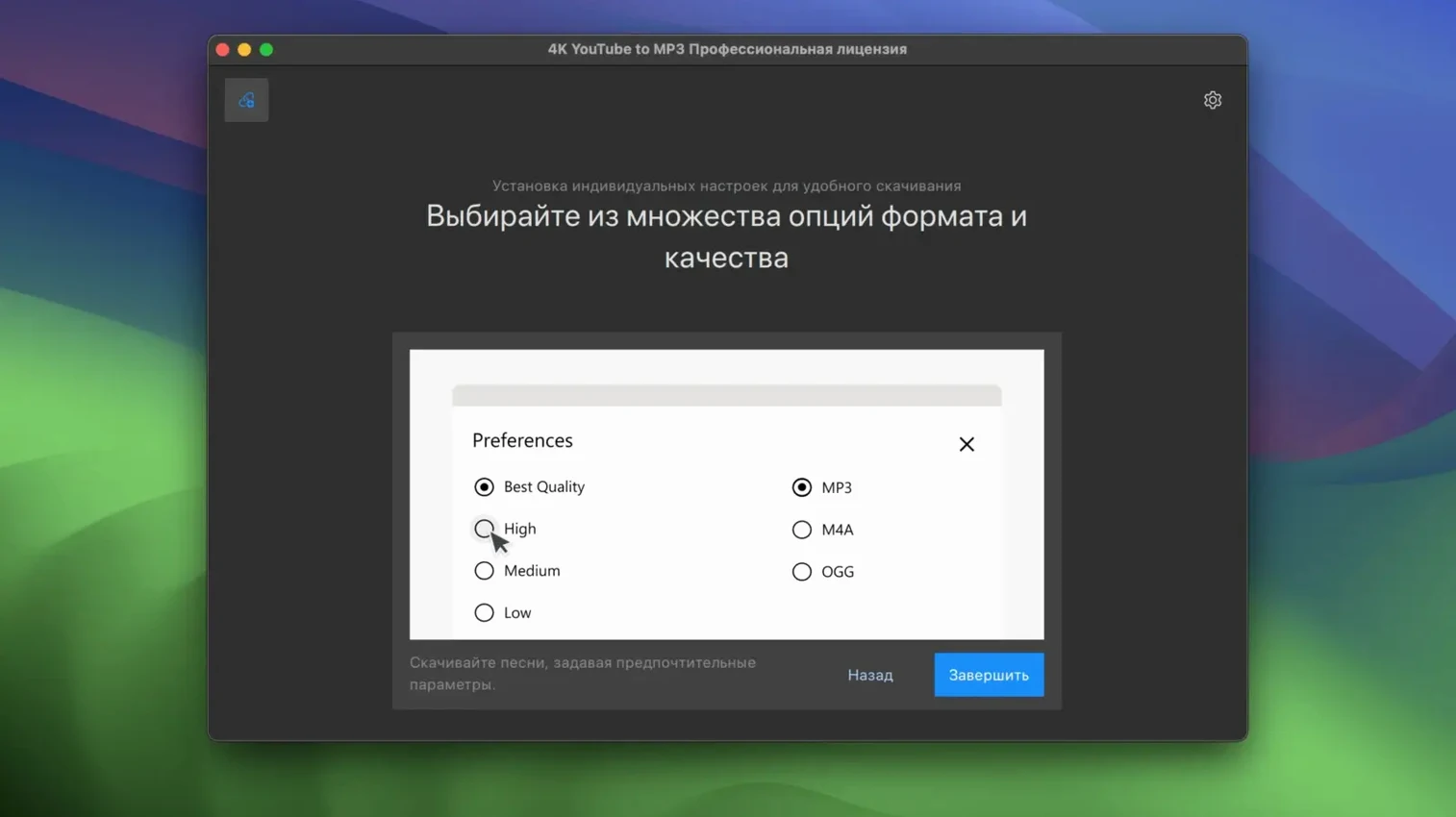 4K YouTube to MP3 — photo 2 4K YouTube to MP3 options, screen 2