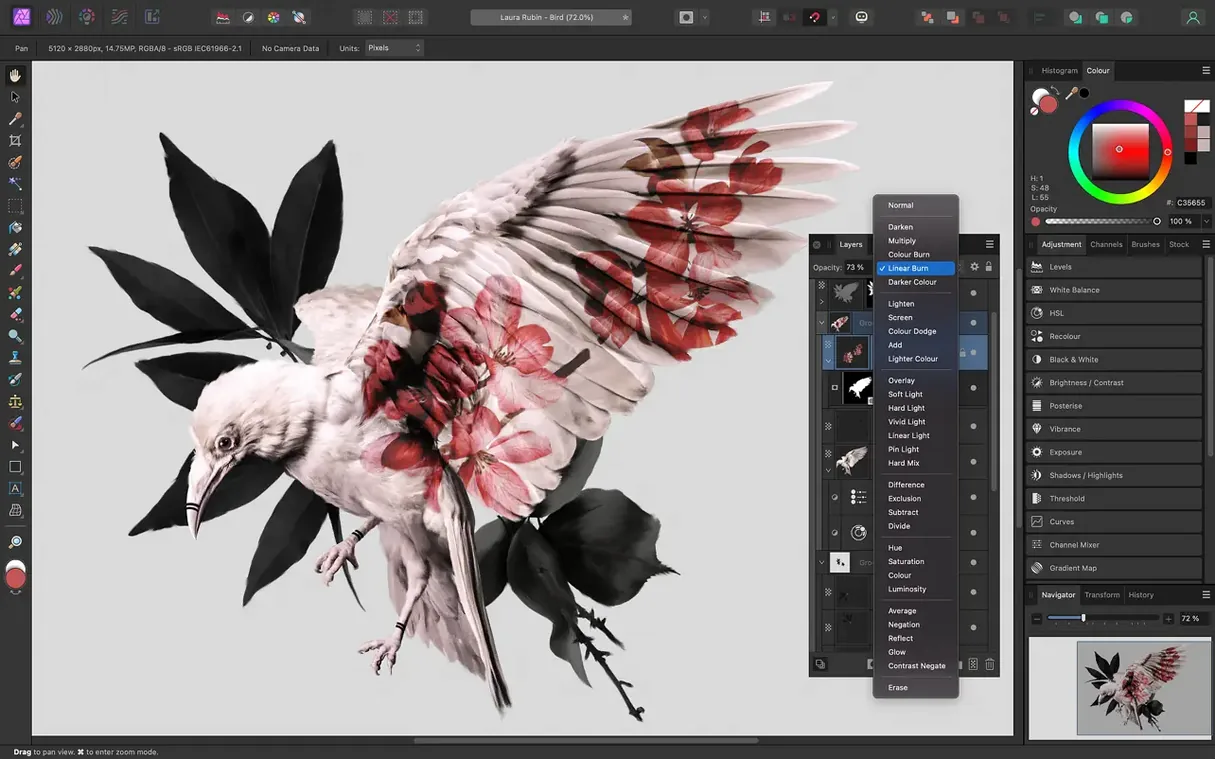 Affinity Photo reel 2 Affinity Photo snapshot 2