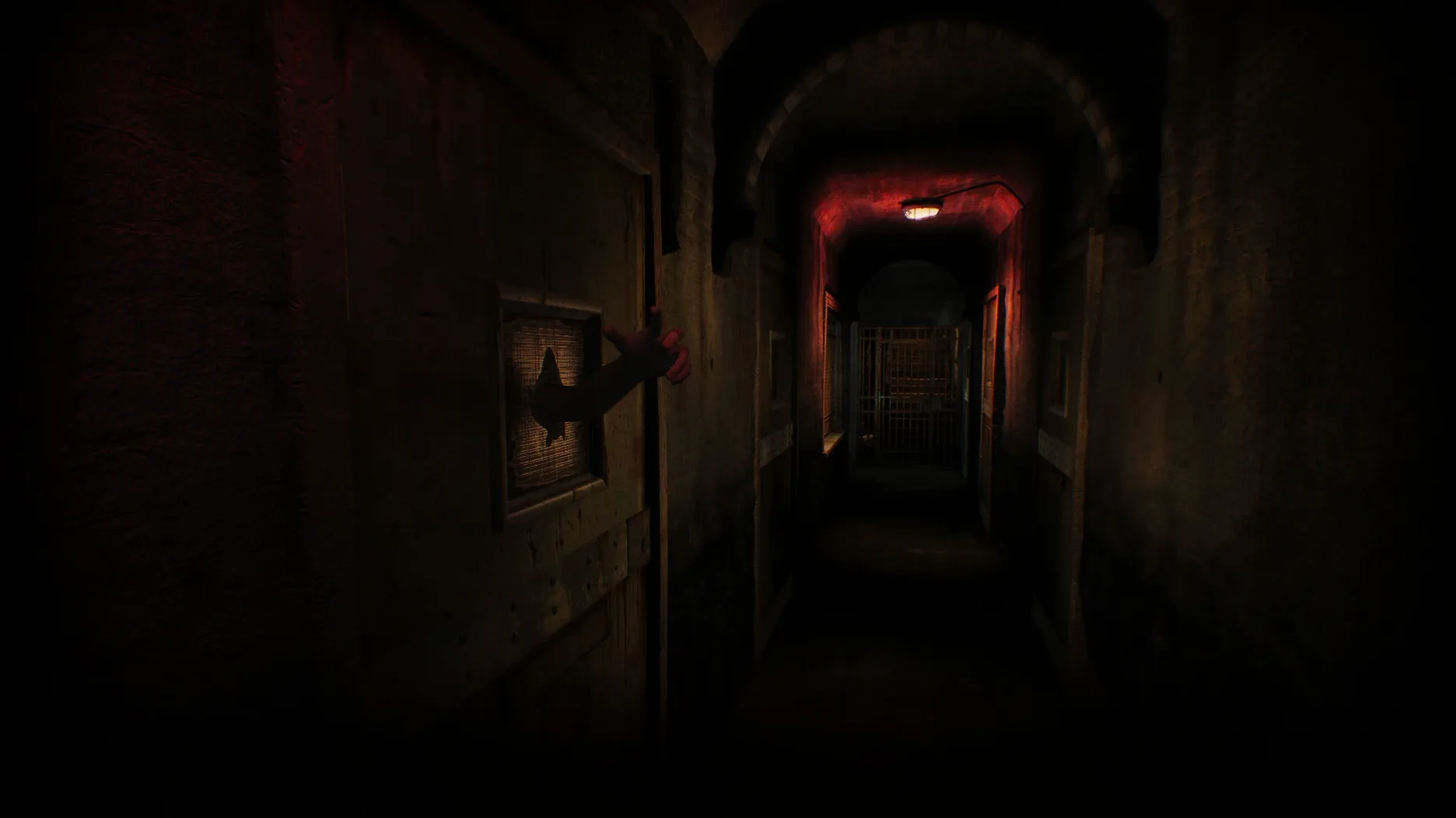 ASYLUM reel 5 ASYLUM snapshot 5