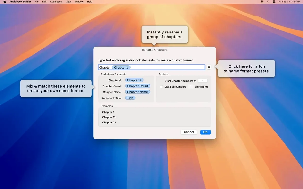 Audiobook Builder — photo 5 Audiobook Builder options, screen 5
