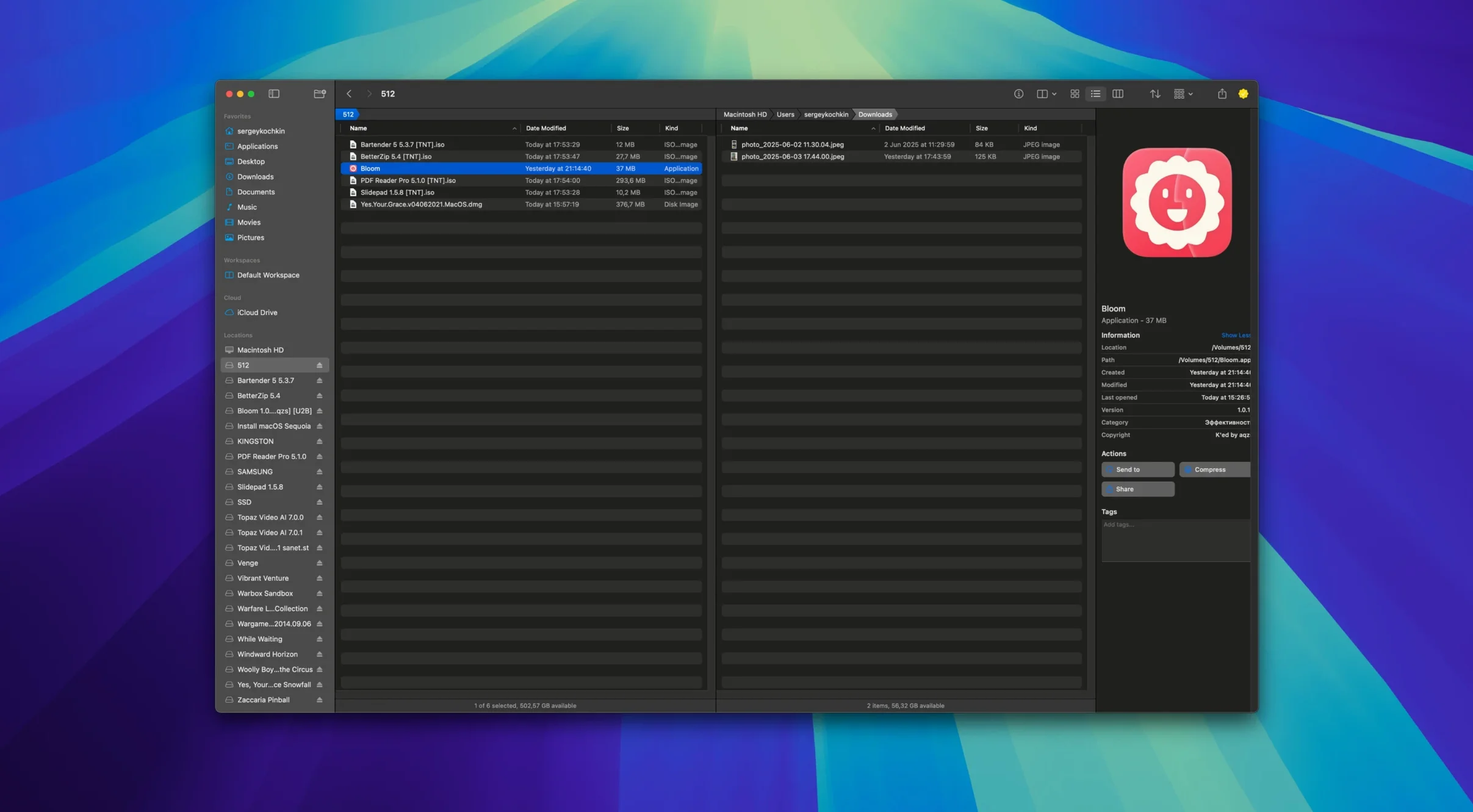 Bloom — photo 1 oeksound bloom free download UI