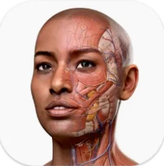 Complete Anatomy glyph