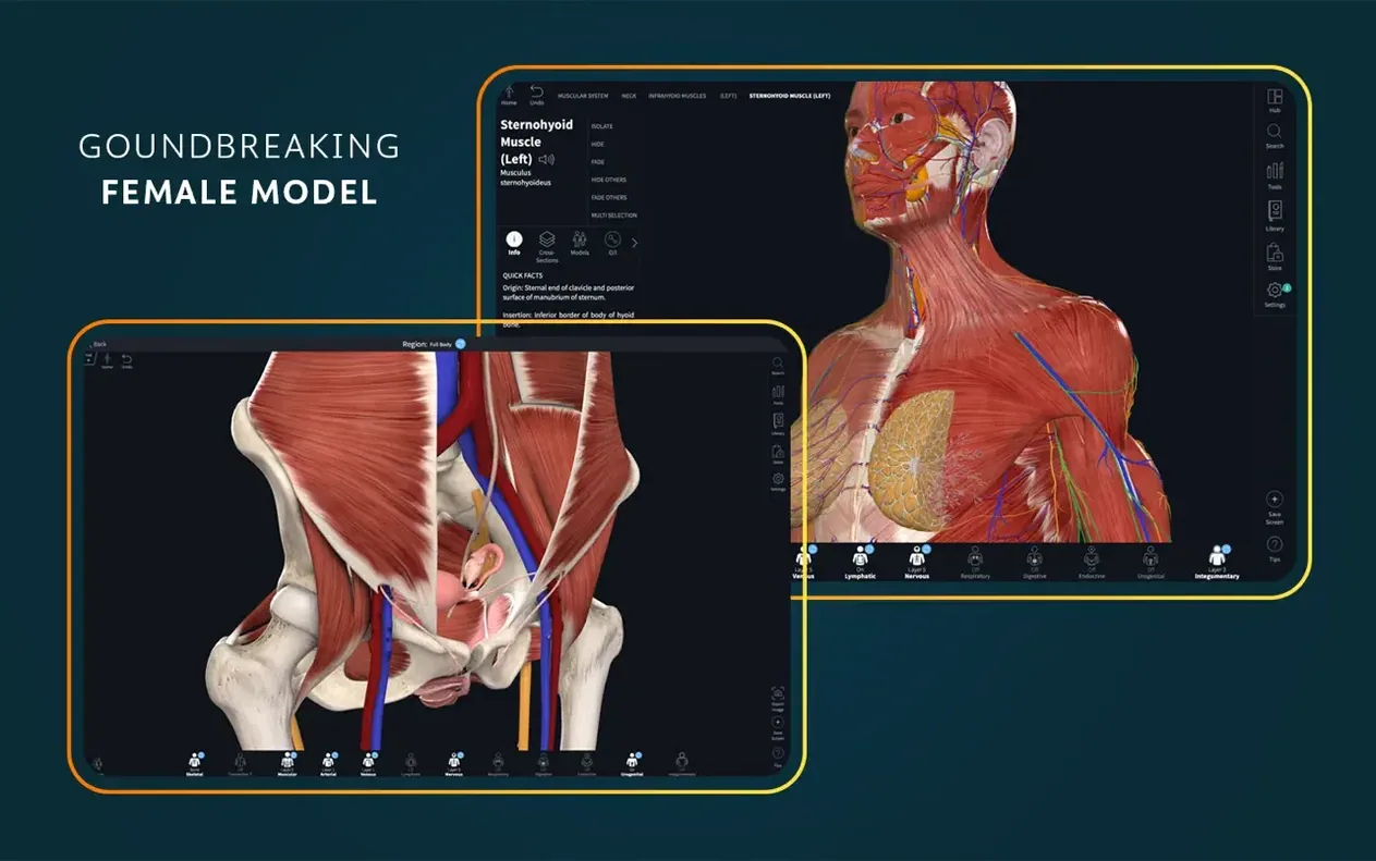 Complete Anatomy reel 1 anatomy torrent: main interface