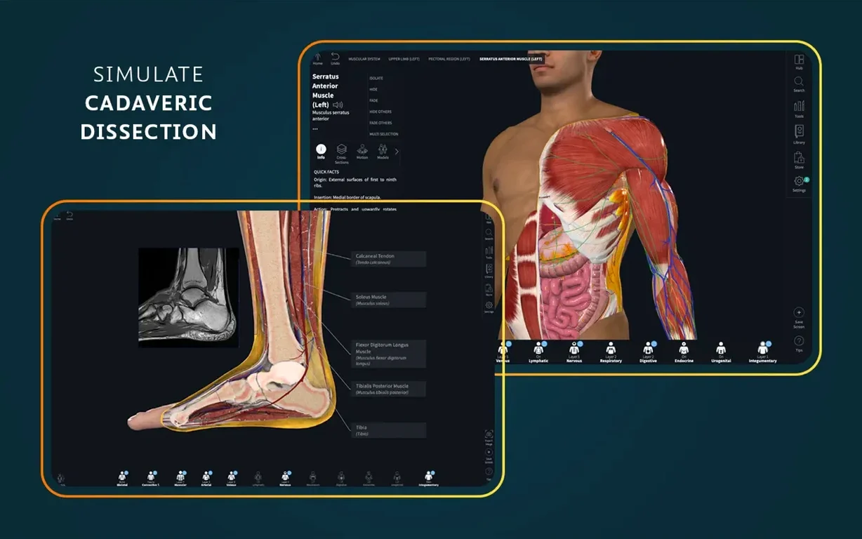 Complete Anatomy reel 2 Complete Anatomy snapshot 2