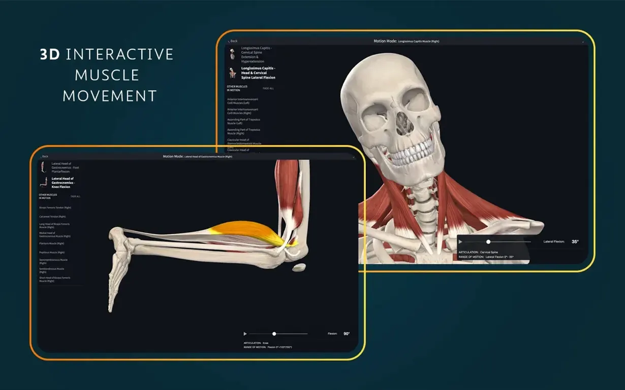 Complete Anatomy reel 3 Complete Anatomy snapshot 3