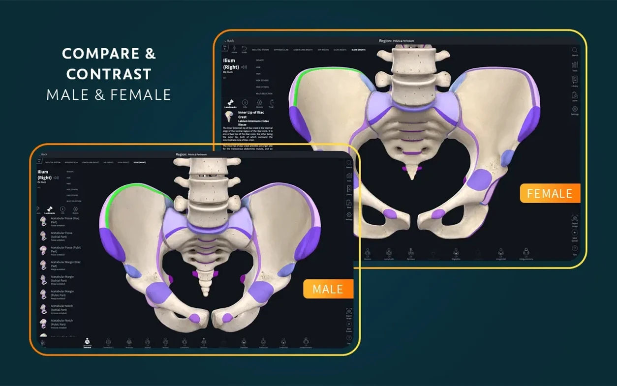 Complete Anatomy reel 4 Complete Anatomy snapshot 4