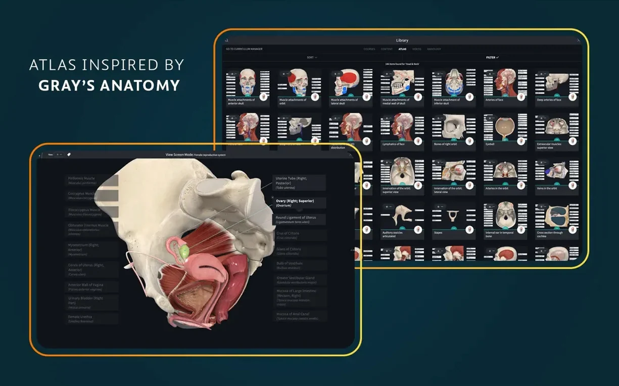 Complete Anatomy — photo 5 Complete Anatomy options, screen 5