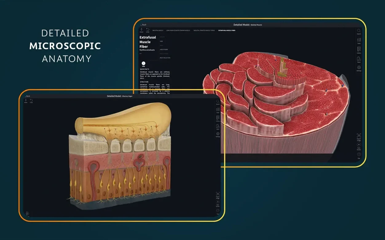Complete Anatomy — photo 6 Complete Anatomy options, screen 6