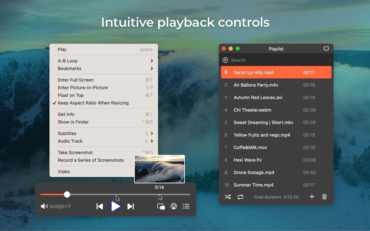 Elmedia Player Pro reel 2 Elmedia Player Pro snapshot 2