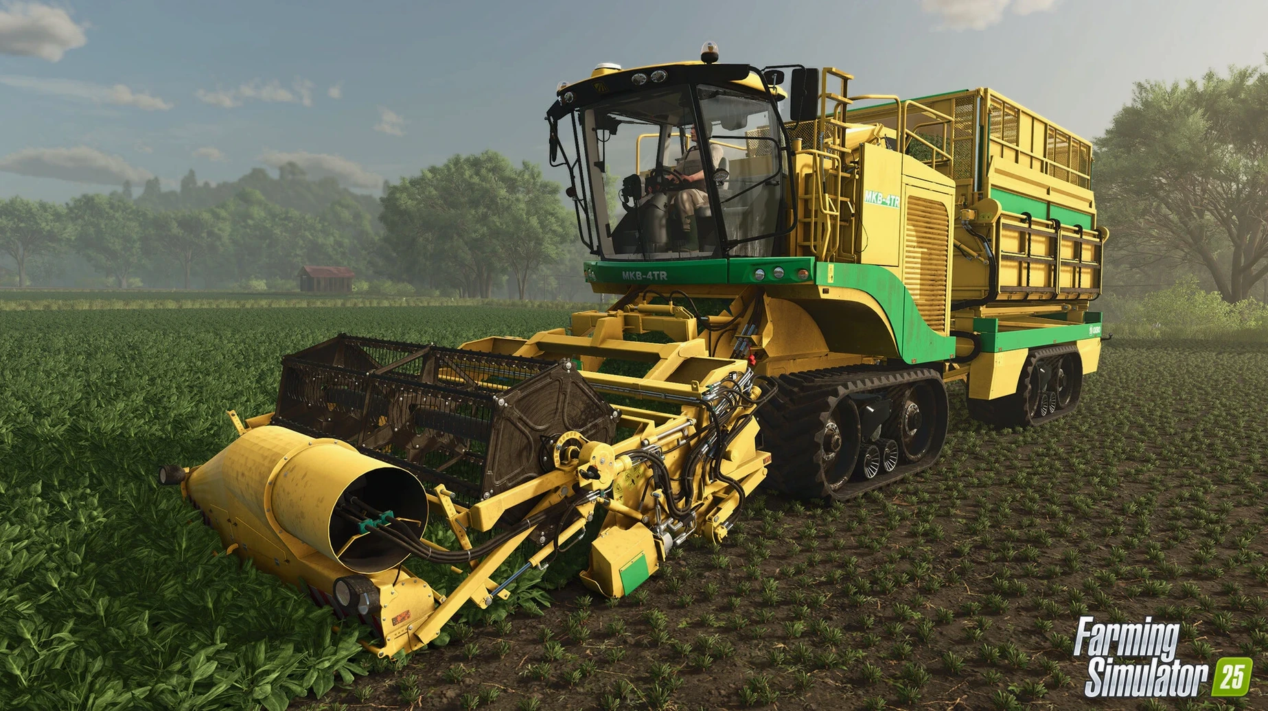 Farming Simulator 25 — photo 5 Farming Simulator 25 options, screen 5