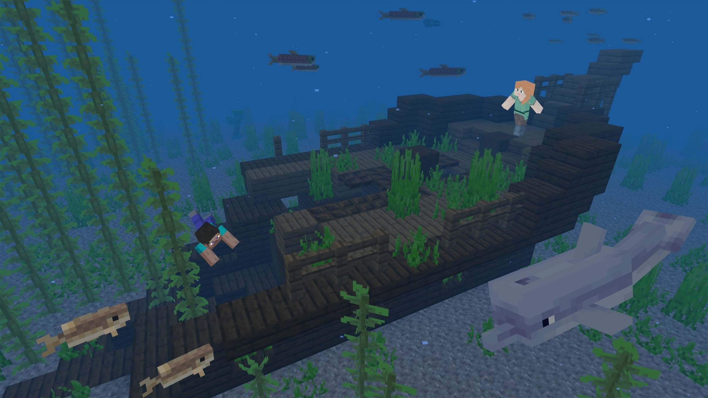 Minecraft — photo 3 Minecraft options, screen 3