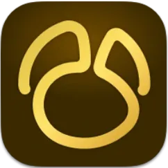 Symbol of Navicat Premium