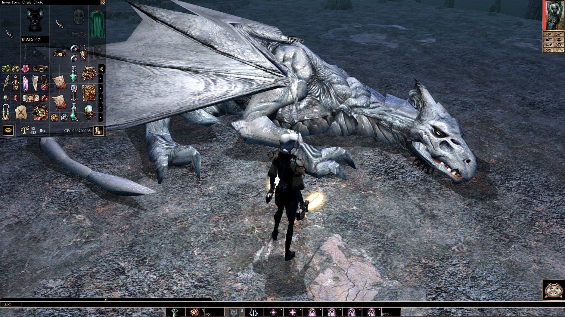 Neverwinter Nights: Enhanced Edition — photo 1 neverwinter nights enhanced edition mac download: main interface