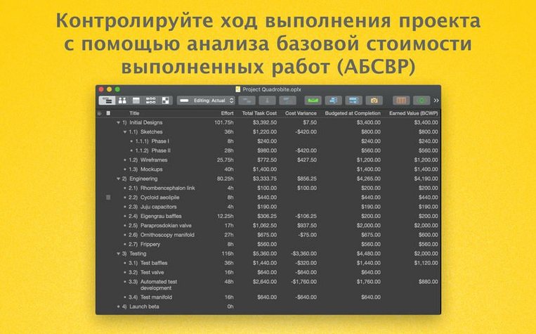 OmniPlan Pro — photo 4 OmniPlan Pro options, screen 4