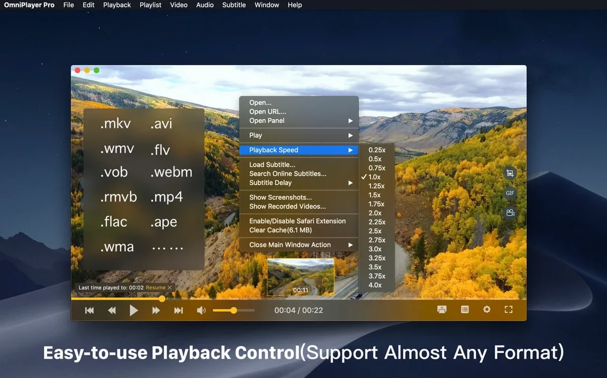 OmniPlayer: MKV Video Player Pro — photo 1 .mkv: main interface