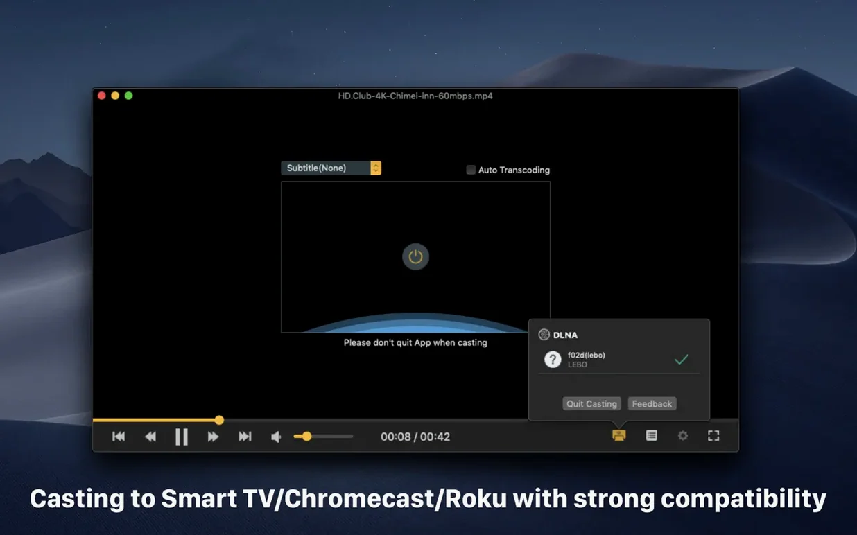 OmniPlayer: MKV Video Player Pro — photo 2 OmniPlayer: MKV Video Player Pro options, screen 2