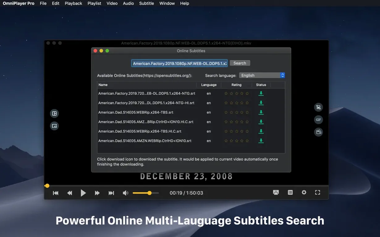 OmniPlayer: MKV Video Player Pro — photo 4 OmniPlayer: MKV Video Player Pro options, screen 4