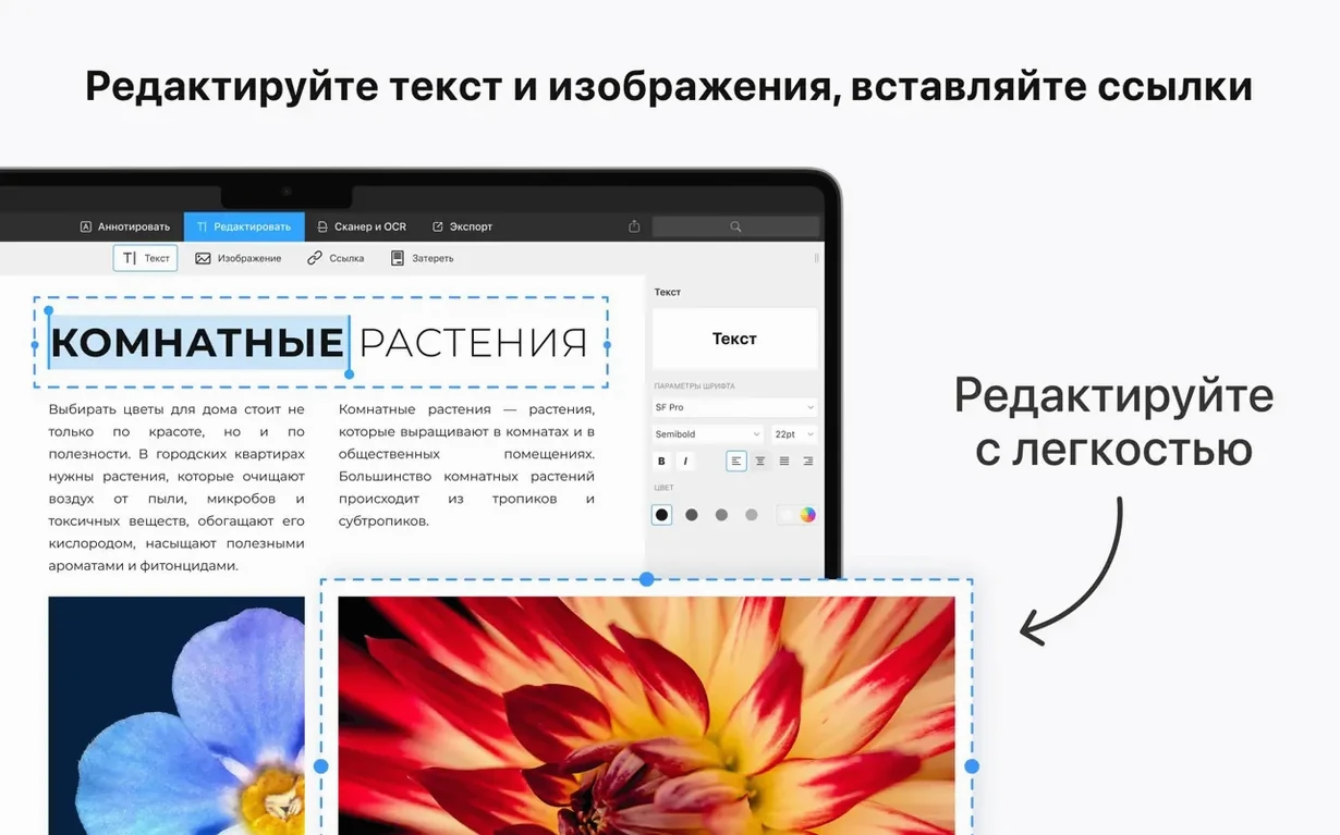 PDF Expert — photo 3 PDF Expert options, screen 3