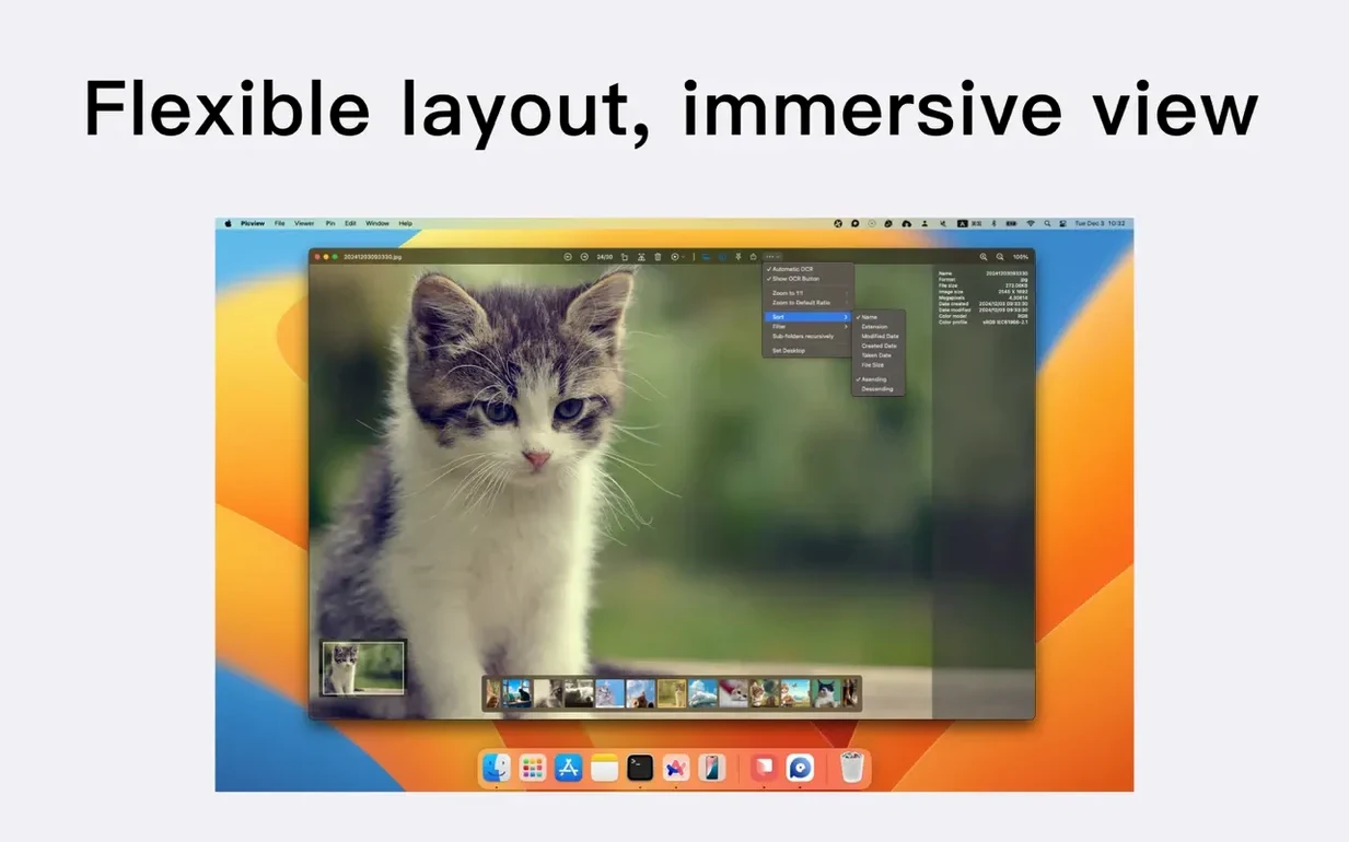 Picview - Image Viewer — photo 2 Picview - Image Viewer options, screen 2