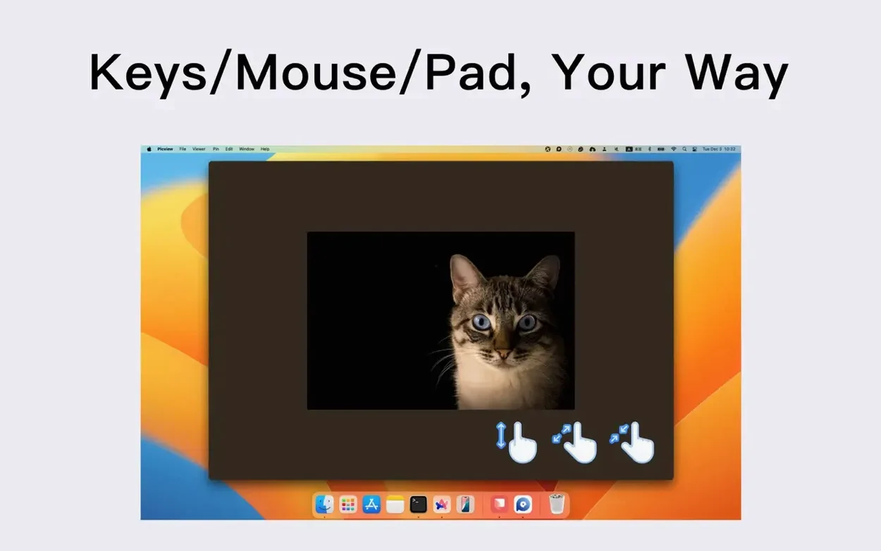 Picview - Image Viewer — photo 3 Picview - Image Viewer options, screen 3