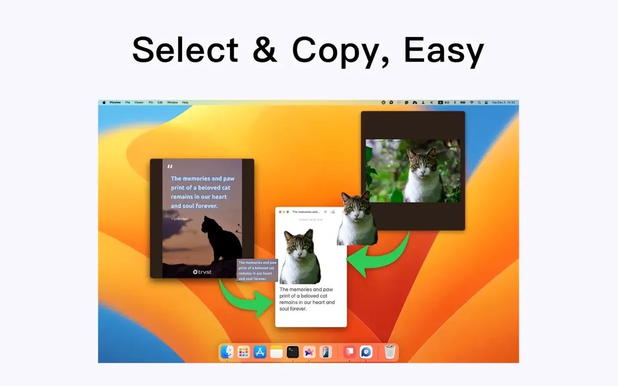 Picview - Image Viewer reel 6 Picview - Image Viewer snapshot 6