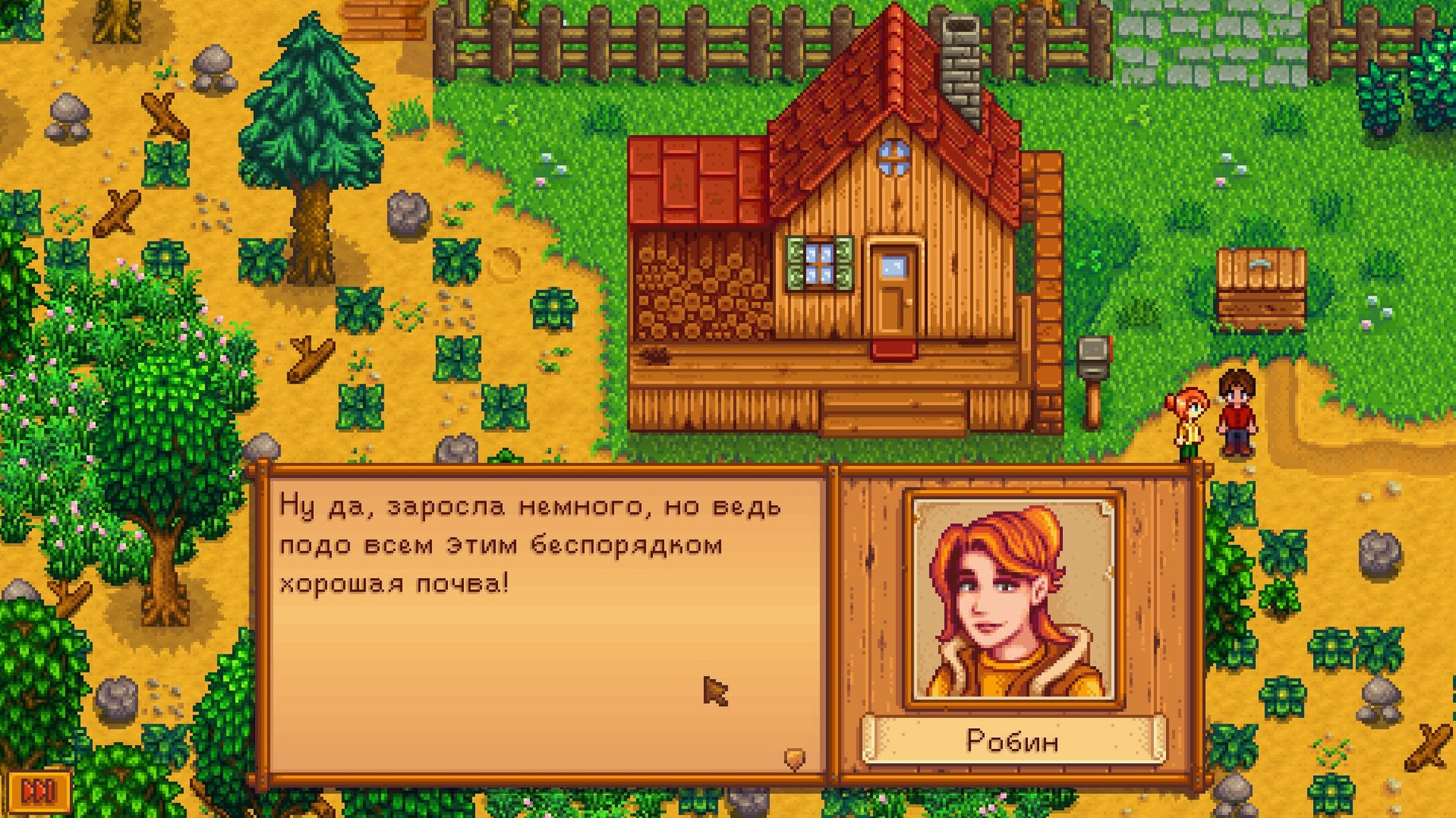 Stardew Valley — photo 3 Stardew Valley options, screen 3