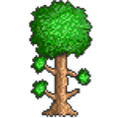 Symbol of Terraria