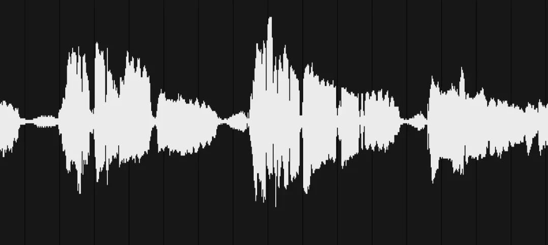 VocalNet glyph